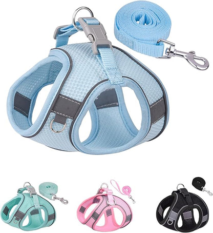 Solmoony Dog Harness for Small Medium Dogs No Pull, Puppy Harness and Leash Set, Puppy Harness for Small Dogs, Step in Harness for Small Dogs, Small Dog Harness, mesh Dog Harness. (Bule, L)