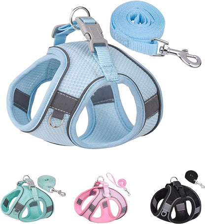 Solmoony Dog Harness for Small Medium Dogs No Pull, Puppy Harness and Leash Set, Puppy Harness for Small Dogs, Step in Harness for Small Dogs, Small Dog Harness, mesh Dog Harness. (Bule, M)