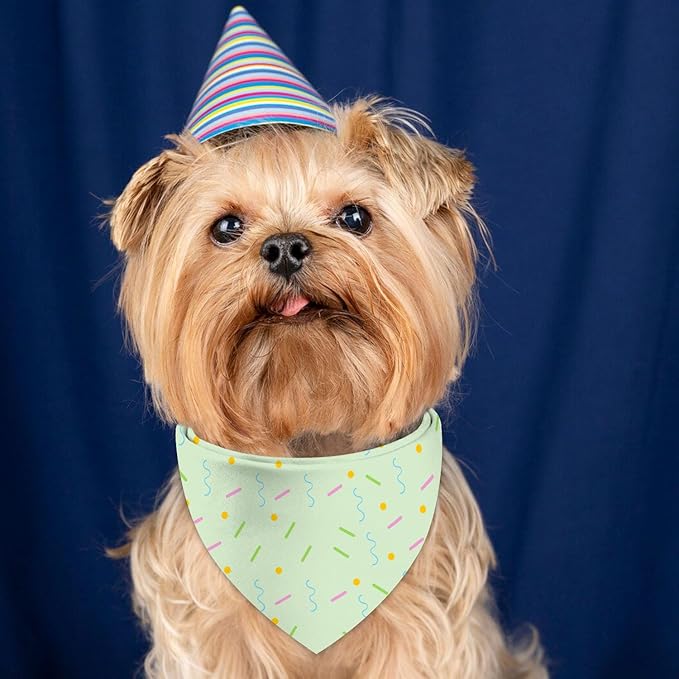 Birthday Dog Bandanas Reversible Large 2 Pack
