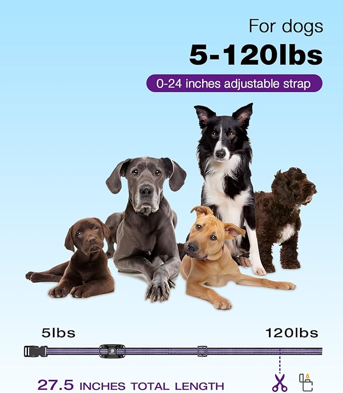 Bousnic Dog Shock Collar 3300Ft Training 5-120lbs Small (1-8), Shake(1-16), Shock(1-99) Modes