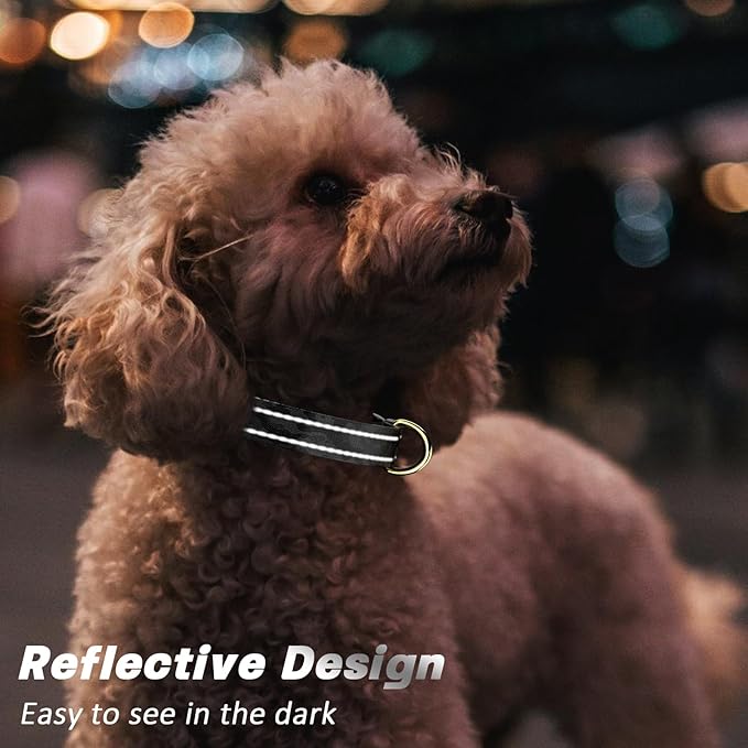Reflective Dog Collar
