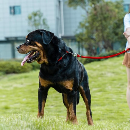 Dog Leash ((1/3") - 6FT, Red)