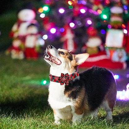 Elegant little tail Dog Collar with Flower