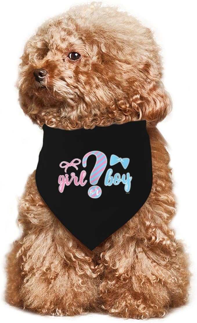He Or She What Will It Be? Gender Reveal/Baby Announcement Dog Bandana,Pet Neckerchief for Pets Daily Wear Photo Prop Party Supplies (Black)