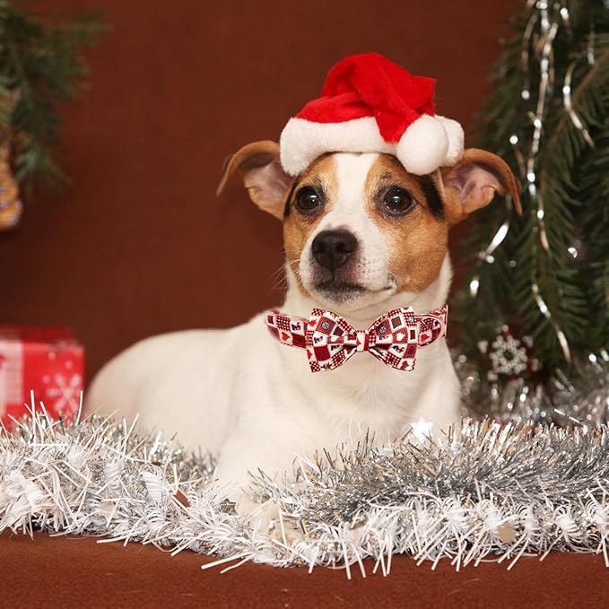 Christmas Day Dog Collar with Bow Red Green