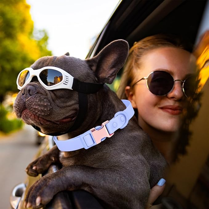 Waterproof Dog Collar with Safety Metal Buckle