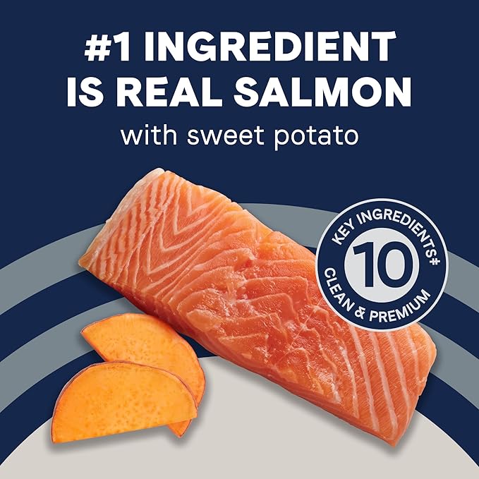 Canidae Pure Real Salmon & Sweet Potato Recipe Adult Dry Dog 4 LB (packaging may vary)