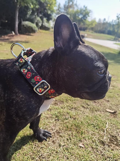 Martingale Dog Collars