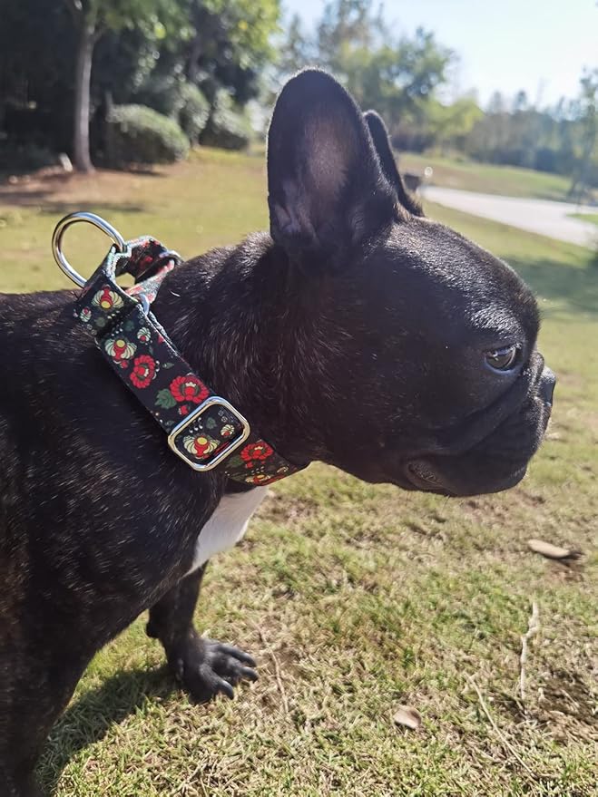 Martingale Dog Collars