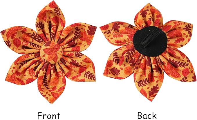 Lionet Paws Dog Collar with Flower 16-26in