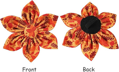 Lionet Paws Dog Collar with Flower 16-24in