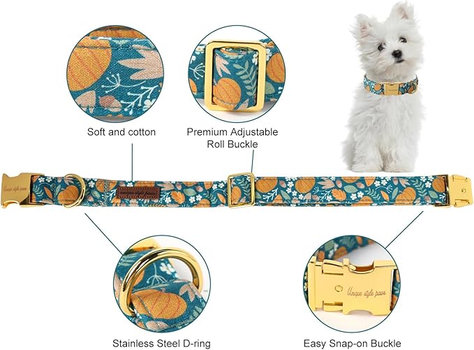 Unique style paws Dog Collar Metal Buckle Collar