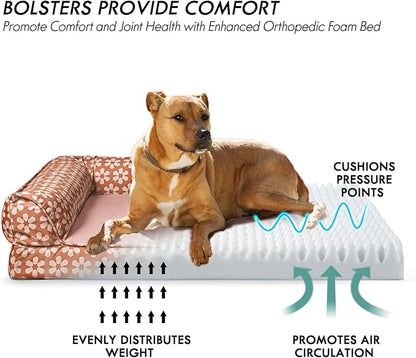 ClevaHome Comfort Orthopedic Dog Bed for Large Dogs