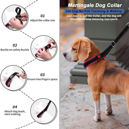 Martingale Collar for Dogs