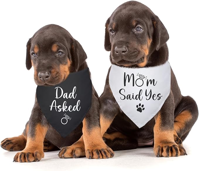Dad Asked and Mom Said Yes Dog Bandana 2