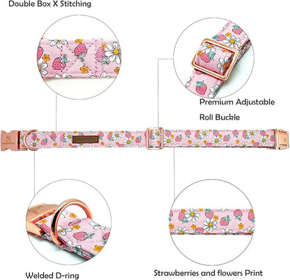 Lionheart glory Dog Collar Pink Dogs Collar Spring