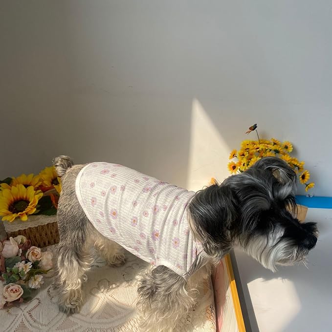 2PCS Summer Dog Cotton T Shirt Pet Tee