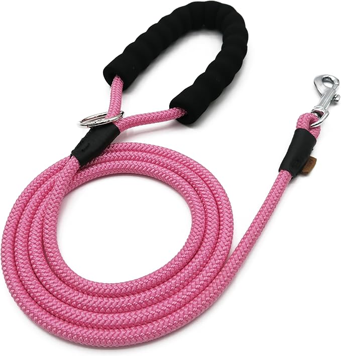 Dog Leash ((1/3") - 6FT, Pink)