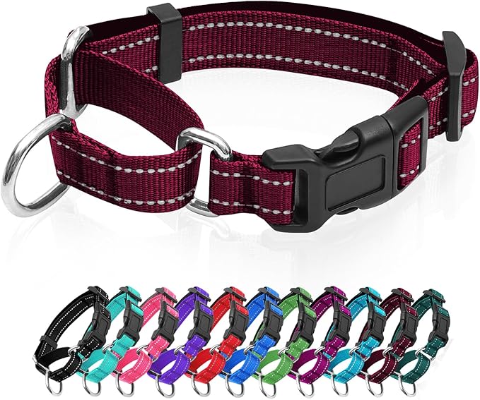 Reflective Martingale Dog Collars. Dog Collar with Quick