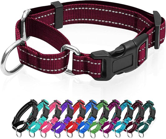 Reflective Martingale Dog Collars. Dog Collar with Quick