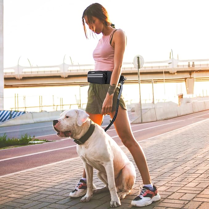 Hands Free Dog Leash with Dog Walking Fanny Pack for Large Medium Small Dogs