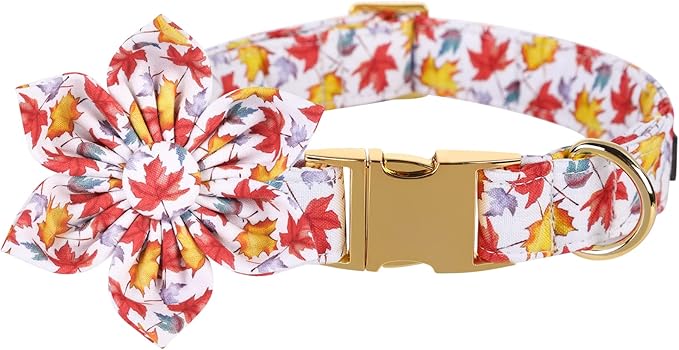 Lionet Paws Dog Collar with Flower 13.5-22in