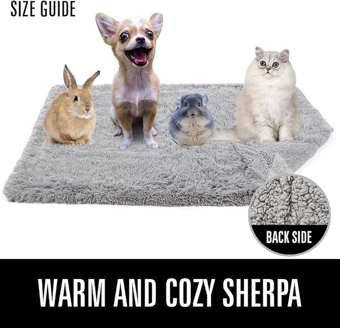 LOCHAS Luxury Fluffy Dog Blanket 20''x30'' Cream