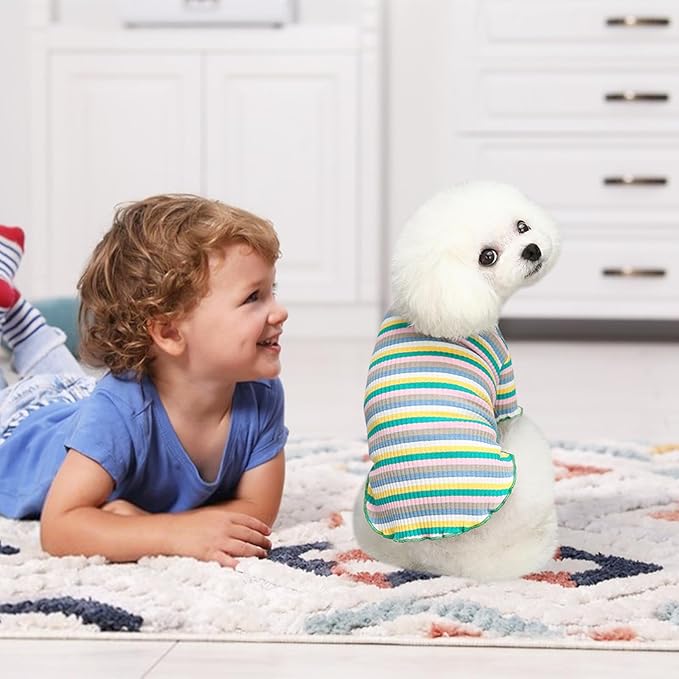 Small Medium Dog Clothes Rainbow Striped Dog Shirts Stretchable Long Sleeve Cat T-Shirt Pet Outfits for Chihuahua Yorkie Teddy (Green Edge