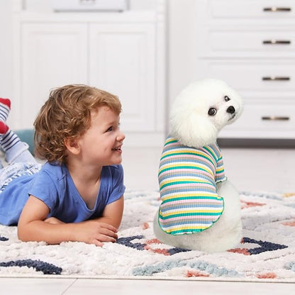 Small Medium Dog Clothes Rainbow Striped Dog Shirts Stretchable Long Sleeve Cat T-Shirt Pet Outfits for Chihuahua Yorkie Teddy (Green Edge