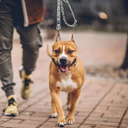 AUROTH Dog Leash Large Dogs 6FT, 2