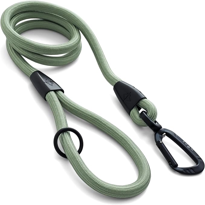 MADE TO ROAM Premium Everyday Leash 4ft (Metal