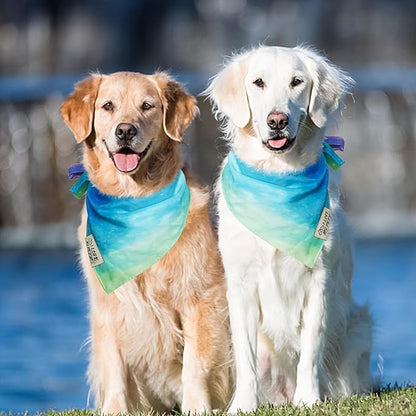 SCENEREAL Summer Dog Bandana