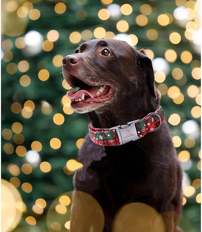 Lionheart glory Christmas Plaid Dog Collar