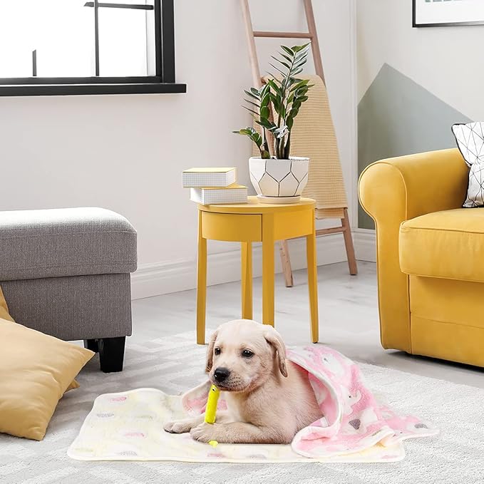 Dono 1 Pack 3 Dog Blankets