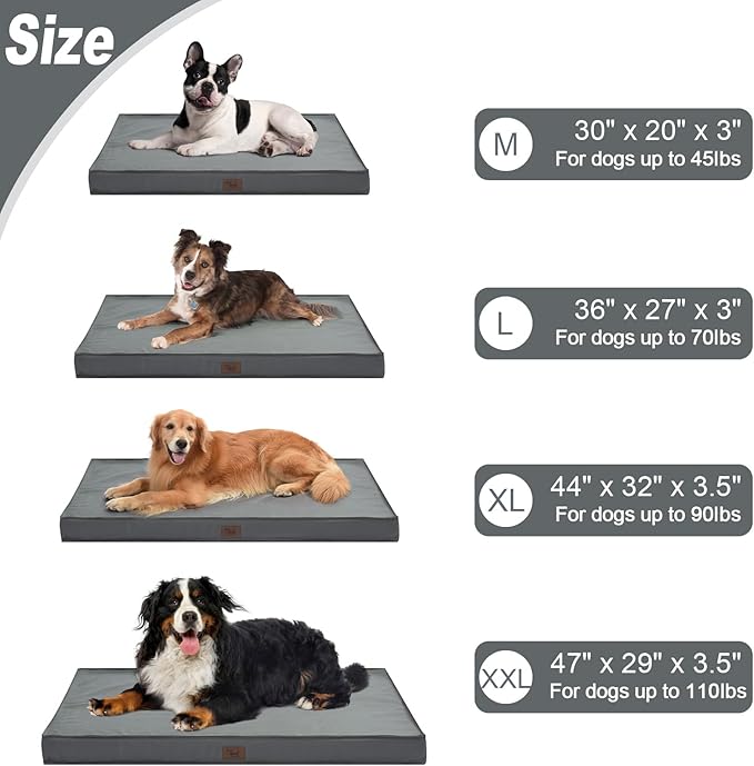 Orthopedic Dog Bed for Large Dogs