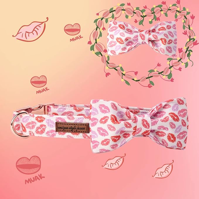 Unqiue Style Paws Valentine Dog Collar