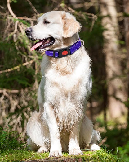 Reflective Dog Collar