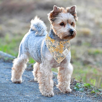 E-Clover Fall Dog Bandana & Matching Scrunchie-Leaves Dog
