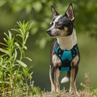 rabbitgoo Dog Harness, No-Pull Pet Harness with 2 Leash Clips, Adjustable Soft Padded Dog Vest, Reflective No-Choke Pet Oxford Vest with Easy Control Handle for Large Dogs, Teal, X-Small