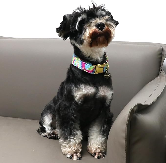 Tie Dye Summer Cotton Dog Collar with Metal