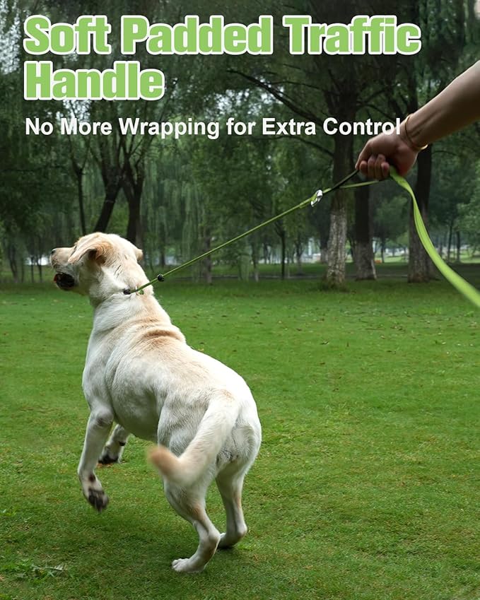 Aiyuda Tangle-Free Slip Lead for Dogs with Padded Traffic Handle 6ft Dog 40 LBS,
