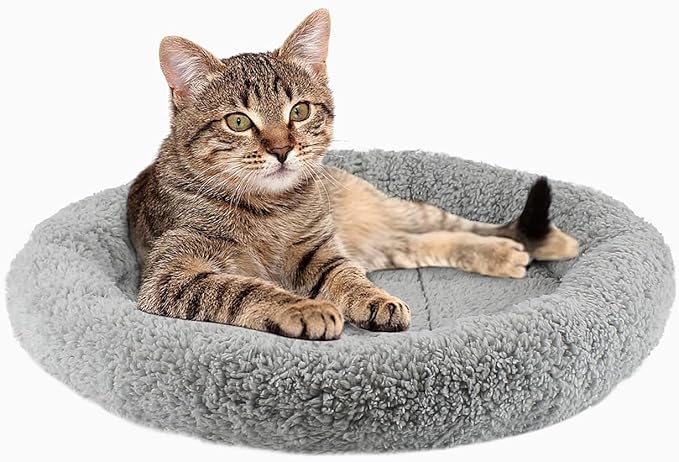 PETLESO Cat Bed for Indoor Cats