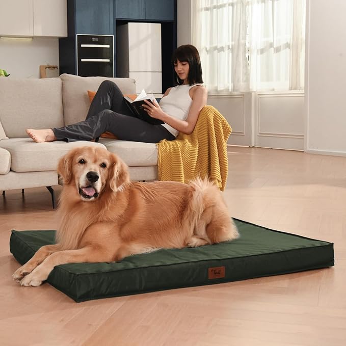 Outdoor All Weather Dog Bed