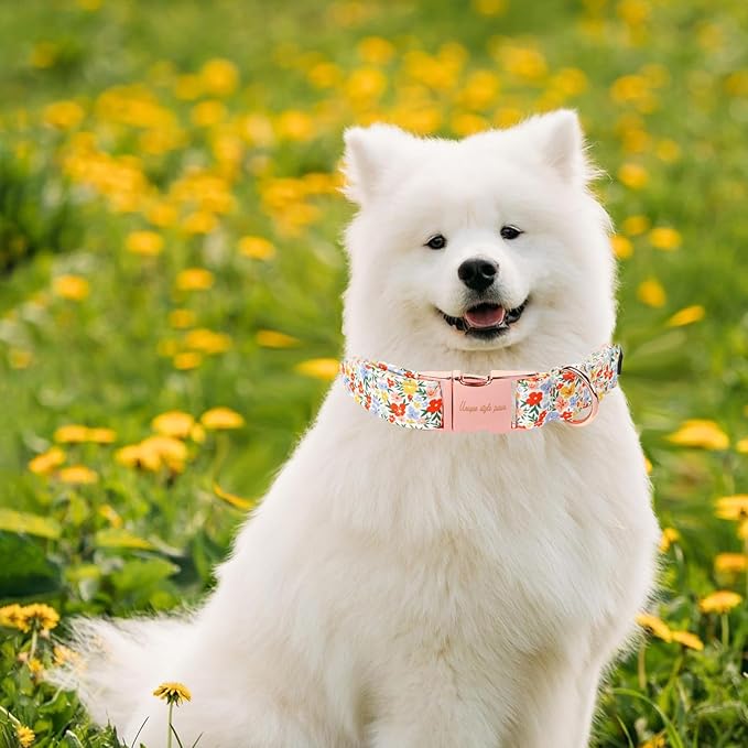 Unique Style Paws Summer Dog Collar
