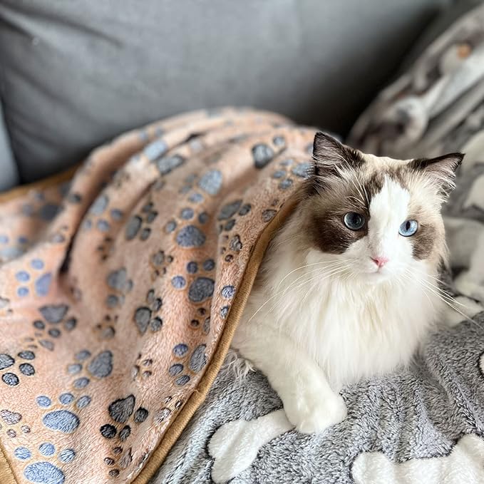 1 Pack 3 Puppy Blankets Super Soft Warm Sleep Mat Paw Print Blanket Fluffy Premium Fleece Pet Blanket Flannel Throw Dog Blankets for Small Dogs Puppy Cat -Brown Paw Small(23"x15")