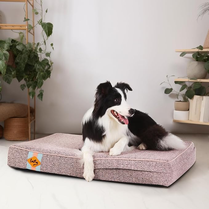 Laifug Memory Foam Dog Bed