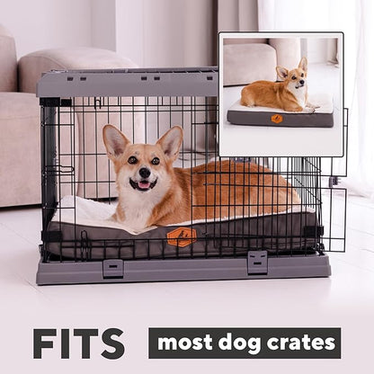 Orthopedic Dog Bed for Small Dogs
