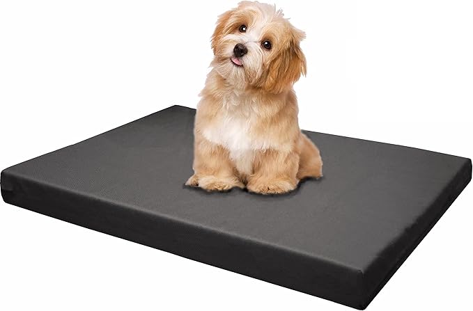 Dogbed4less Memory Foam Platform Dog Bed 29X18X3 Space