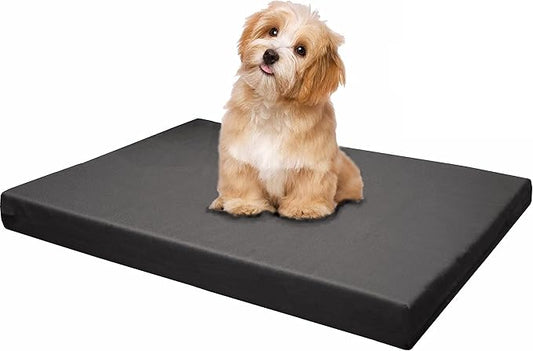 Dogbed4less Memory Foam Platform Dog Bed 45X27X3 Space