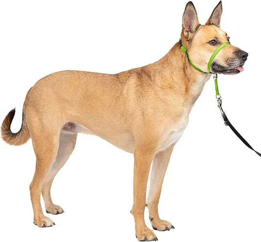 PetSafe Gentle Leader No-Pull Dog Headcollar